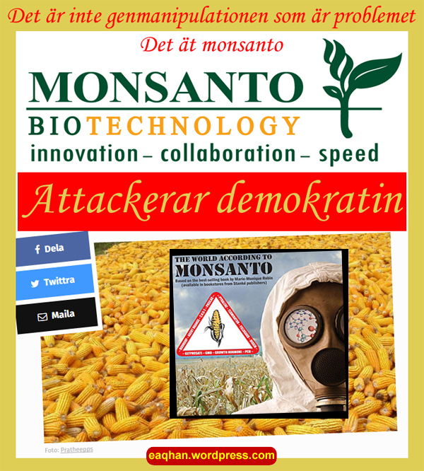 GMO+Monsanto